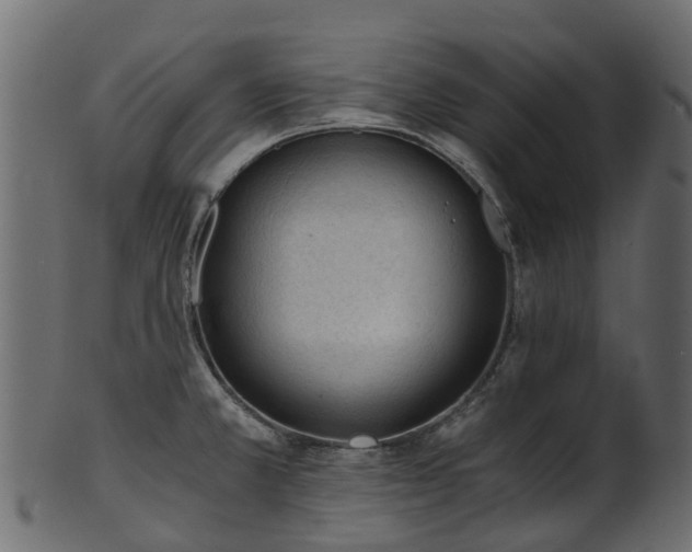 X0000101111381200807031729