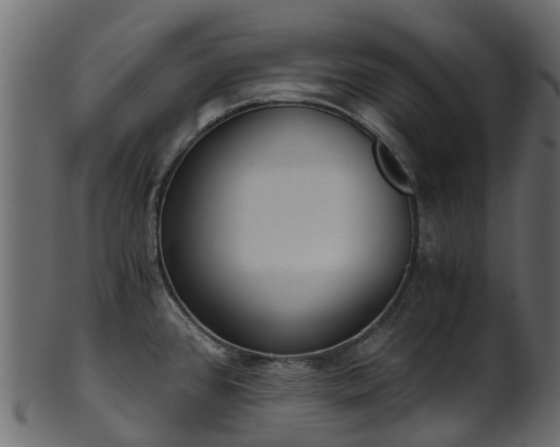 X0000101111384200807031729