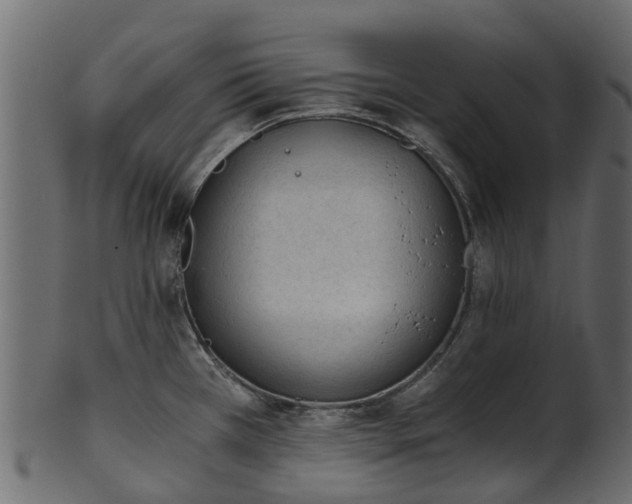 X0000101111385200807031729
