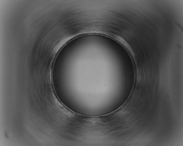 X0000101111388200807031729