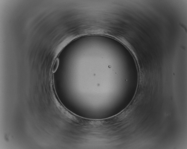 X0000101111389200807031729