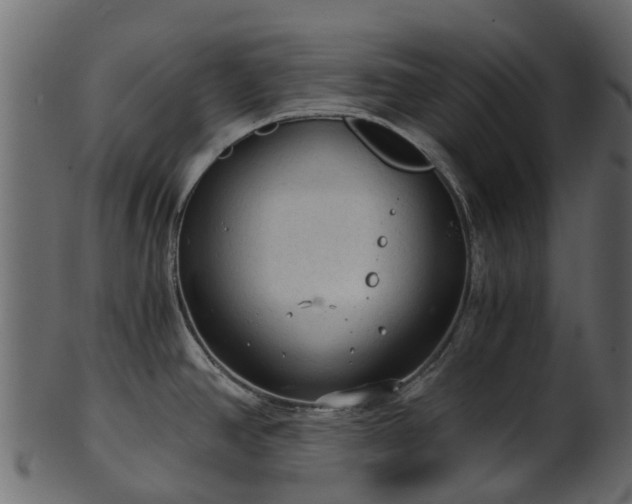 X0000101111390200807031729