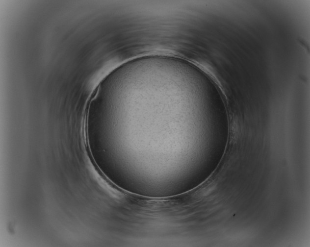 X0000101111391200807031729