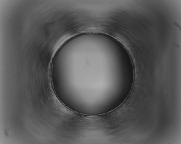 X0000101111392200807031729