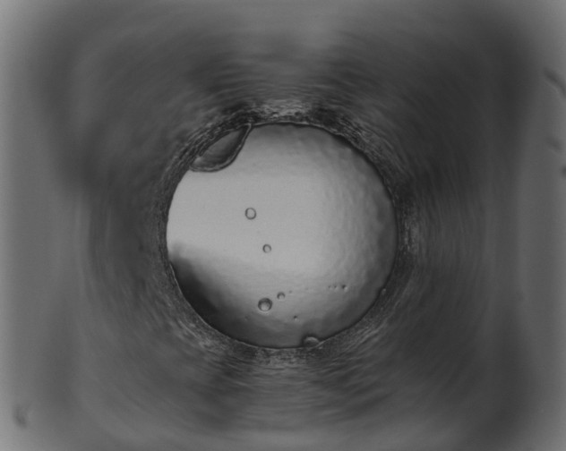 X0000101111393200807031728
