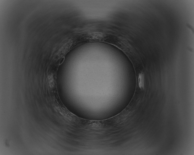 X0000101111395200807031728