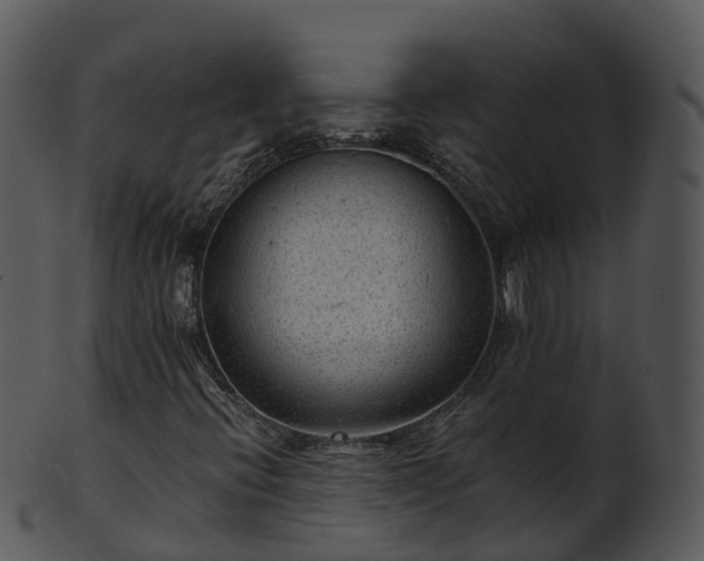 X0000101111396200807031728