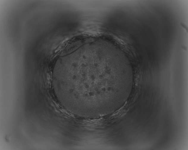 X0000101111397200807031728