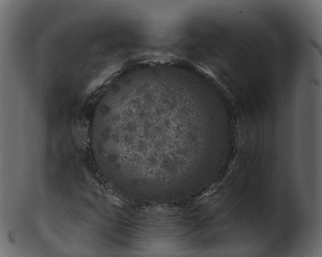 X0000101111399200807031728