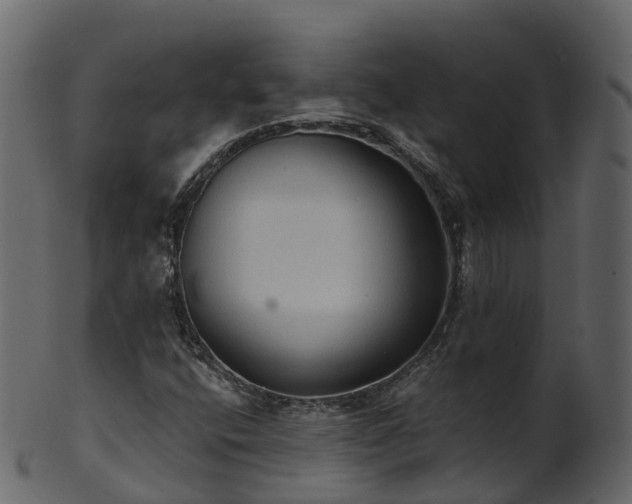 X0000101111400200807031728