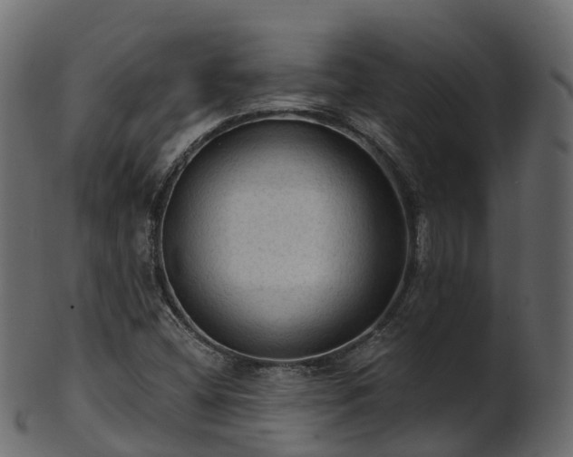X0000101111404200807031728