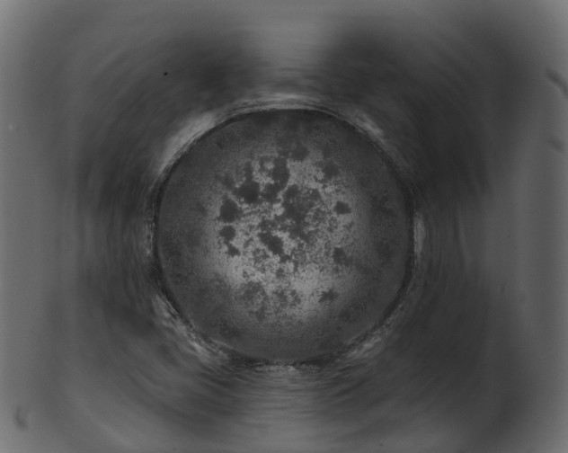 X0000101111405200807031729