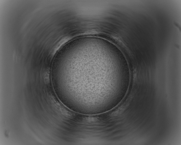 X0000101111409200807031729
