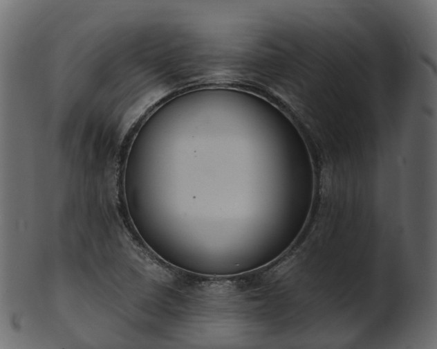 X0000101111410200807031729