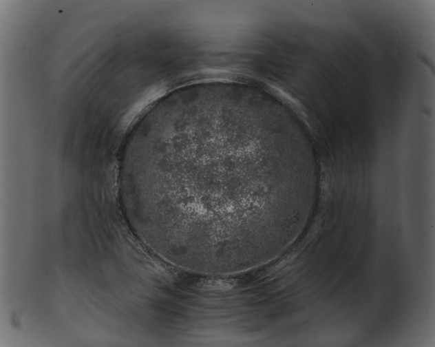 X0000101111411200807031729