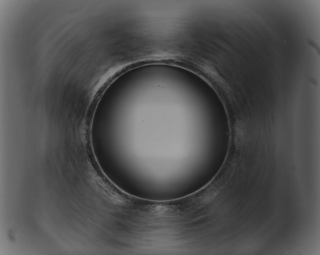 X0000101111412200807031729
