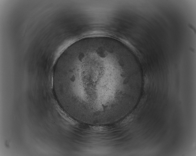 X0000101111413200807031729