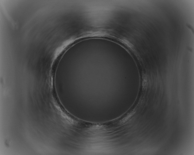 X0000101111414200807031729