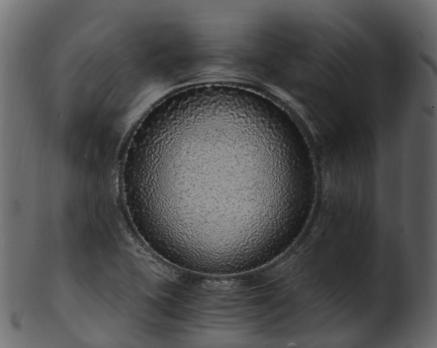 X0000101111415200807031729