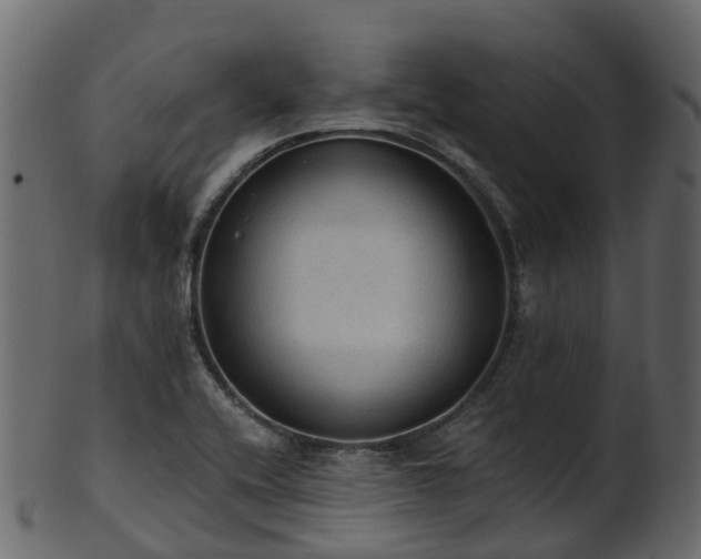 X0000101111416200807031729