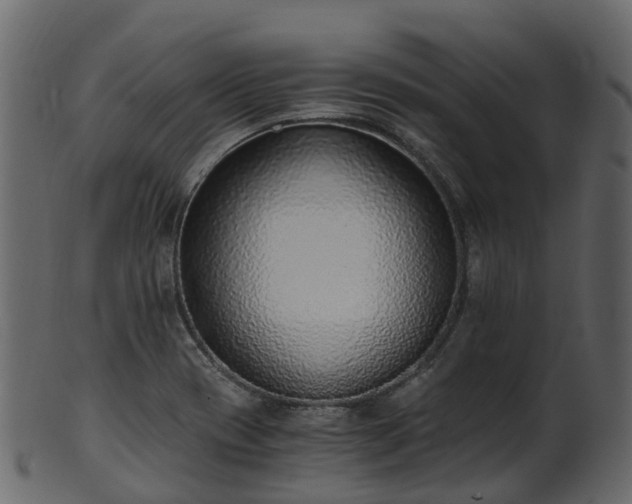 X0000101111417200807031729