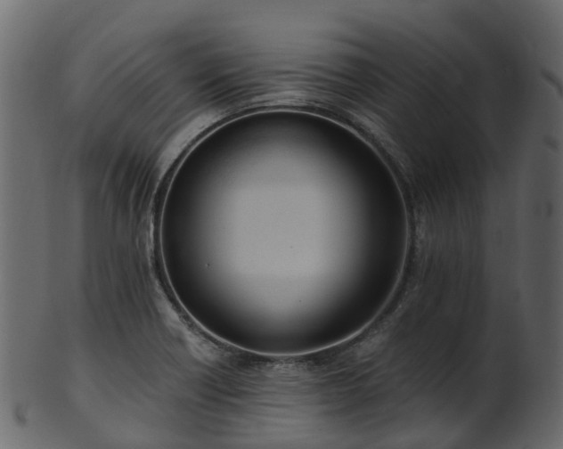 X0000101111418200807031729