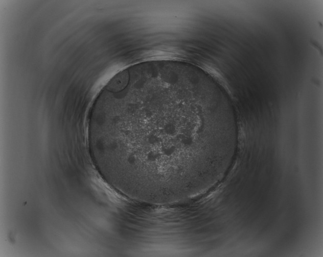 X0000101111419200807031729