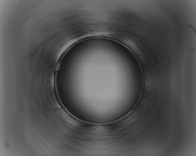 X0000101111420200807031729