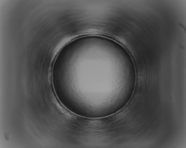 X0000101111421200807031729