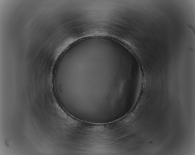 X0000101111422200807031729