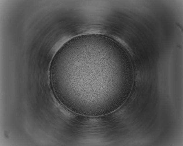 X0000101111423200807031729