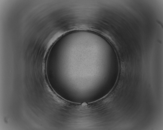 X0000101111424200807031729