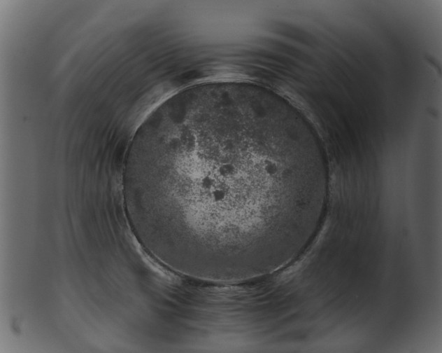 X0000101111425200807031729