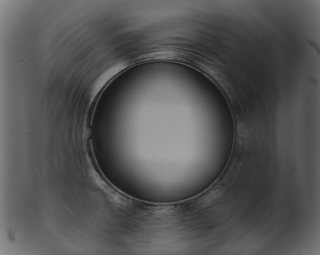 X0000101111426200807031729