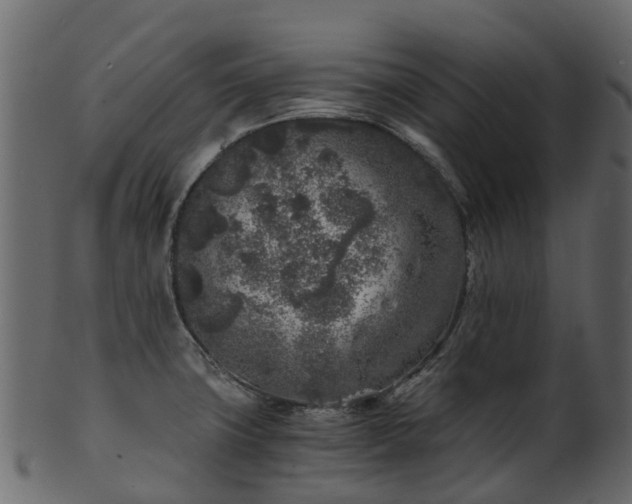 X0000101111427200807031729