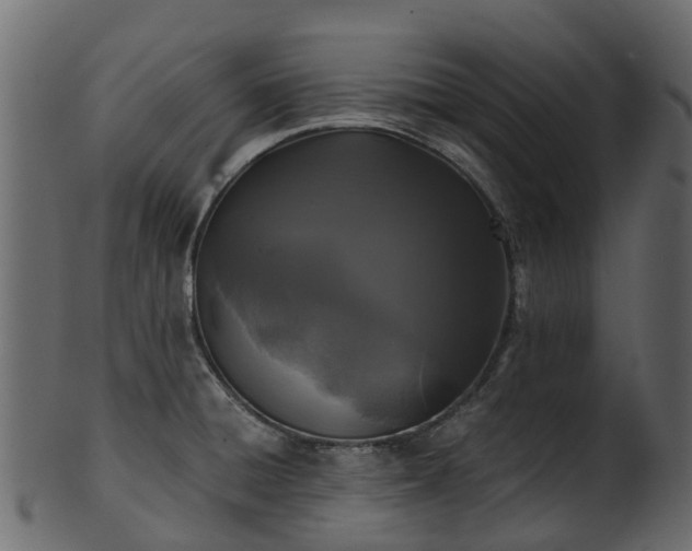 X0000101111428200807031729