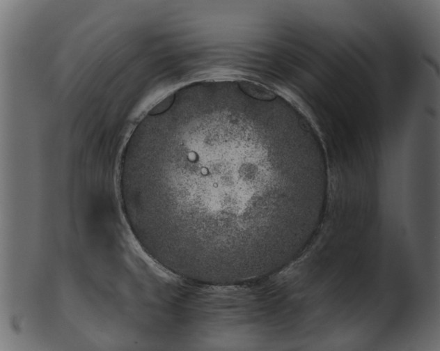 X0000101111429200807031729