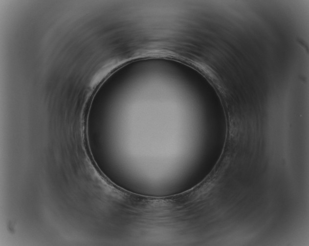 X0000101111430200807031729