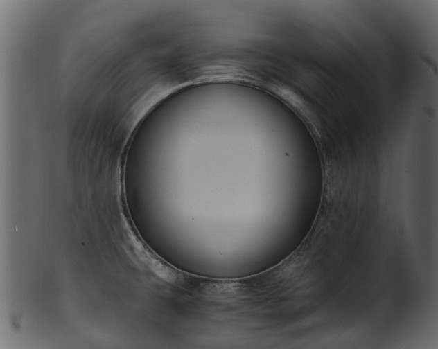 X0000101111431200807031729