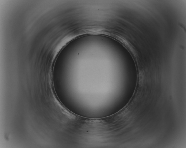 X0000101111432200807031729