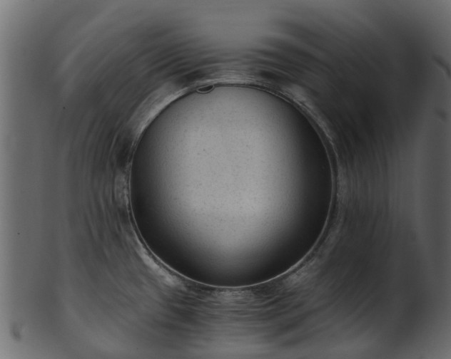X0000101111433200807031729