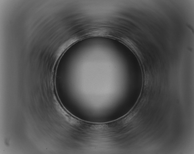 X0000101111434200807031729