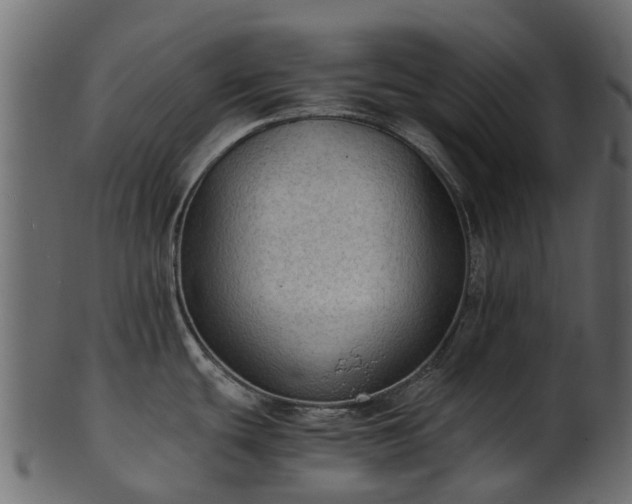 X0000101111439200807031729