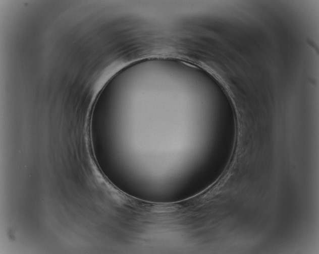 X0000101111440200807031729
