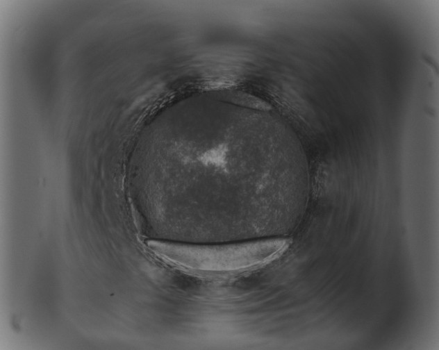 X0000101111441200807031728
