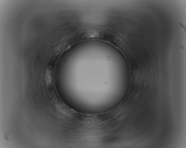 X0000101111442200807031728
