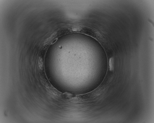 X0000101111443200807031728