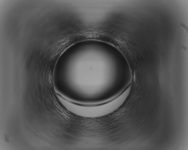 X0000101111444200807031728