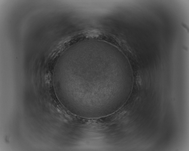 X0000101111445200807031728