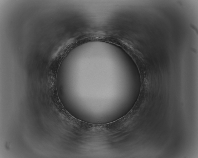 X0000101111447200807031728